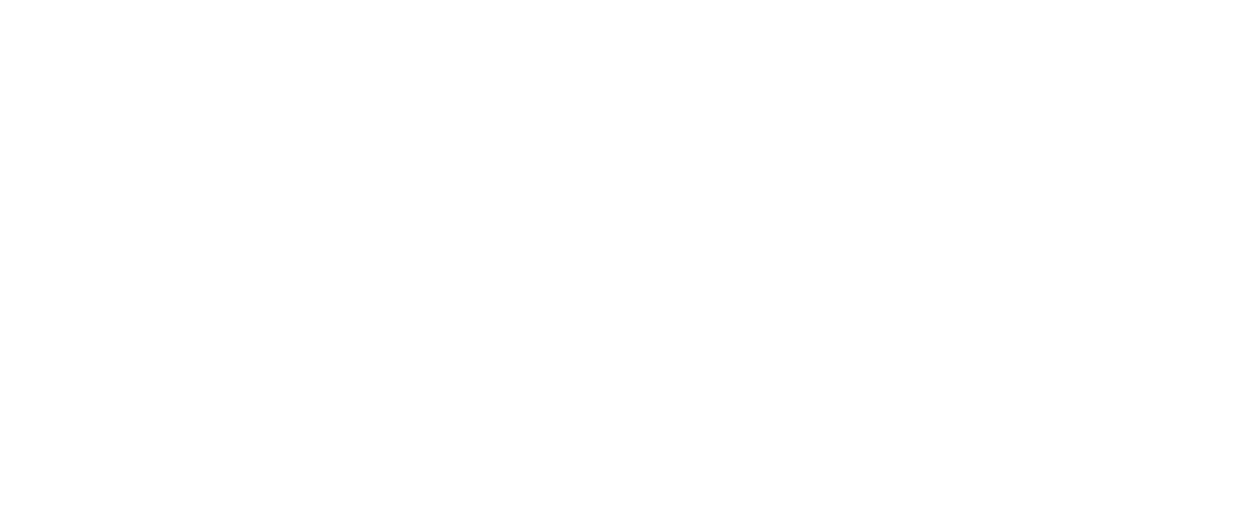 BNT TMiH Novi Travnik logo