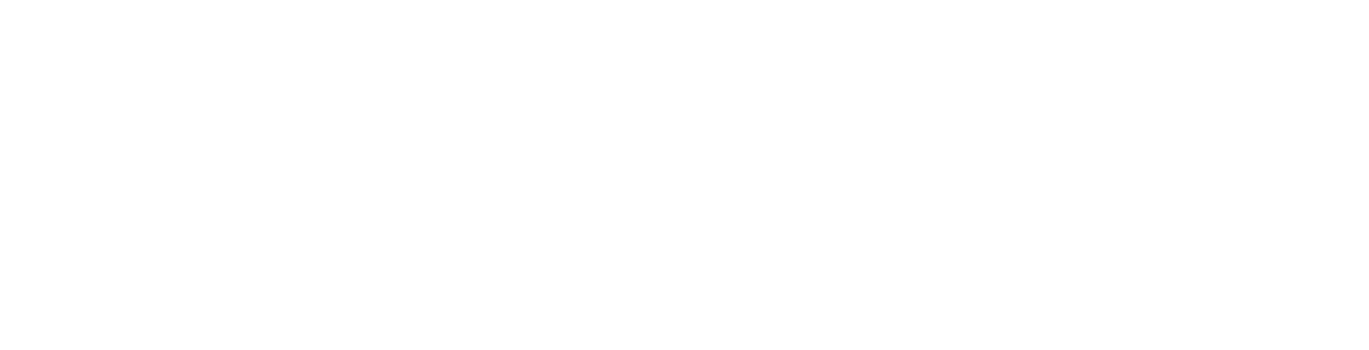 LOWI Solutions logo