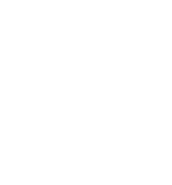 Sky Fort Systems logo